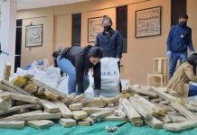 Senad detuvo a conductor de camión que transportaba más de 1.200 kilos de marihuana en San Pedro