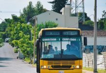 Encarnación: Seis empresas nacionales interesadas en la explotación del transporte de pasajeros