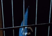 DETIENEN A HOMBRE QUE HABRÍA ABUSADO DE SU HIJASTRA