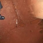 Se registró un feminicidio en Obligado