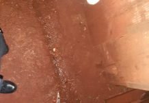 Se registró un feminicidio en Obligado