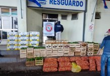Aduaneros incautaron productos frutihortícolas