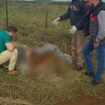 DESALMADOS HABRÍAN AHORCADO HASTA MATAR A DOS PITBULL