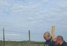 DESALMADOS HABRÍAN AHORCADO HASTA MATAR A DOS PITBULL