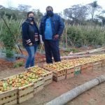 Productores frutihortícolas: preparados para heladas, pero preocupados por contrabando