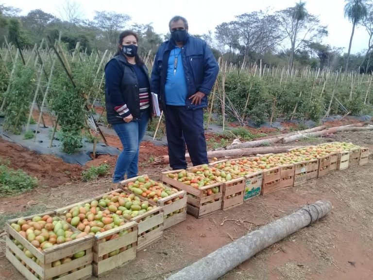 Productores frutihortícolas: preparados para heladas, pero preocupados por contrabando