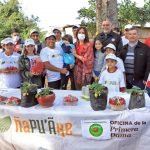 Centro del programa Ñapu’ãke en Areguá inició cosecha de frutilla