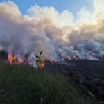 INCENDIO DE GRAN MAGNITUD EN TRINIDAD