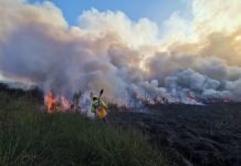 INCENDIO DE GRAN MAGNITUD EN TRINIDAD