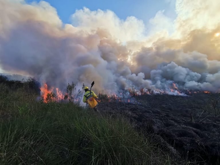 INCENDIO DE GRAN MAGNITUD EN TRINIDAD