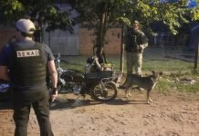 SENAD detiene a delivery de cocaína en San Juan Bautista, Misiones