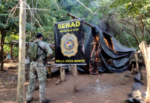 SENAD elimina 12 toneladas de droga en Bella Vista Norte