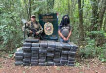 Media tonelada de droga confiscó la Senad en la zona ribereña de Canindeyú