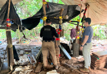 SENAD incautó casi 3 toneladas de marihuana en San Pedro