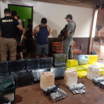 Senad incauta casi 600 kilos de marihuana en Minga Guazú
