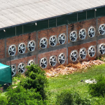 Reportan pérdidas millonarias para la ANDE por conexiones ilegales de criptomonedas