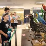 Yacyretá figura entre los sitios turísticos más visitados en semana santa