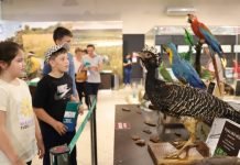 Yacyretá figura entre los sitios turísticos más visitados en semana santa