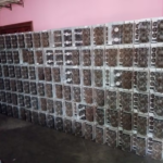 Granja ilegal de criptomonedas en propiedad de Cuevas operaba hace unos 3 meses, afirman