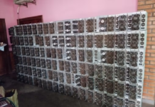 Granja ilegal de criptomonedas en propiedad de Cuevas operaba hace unos 3 meses, afirman