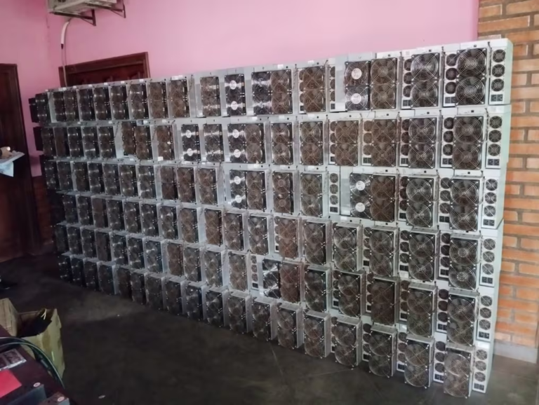 Granja ilegal de criptomonedas en propiedad de Cuevas operaba hace unos 3 meses, afirman