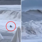 VIDEO: Una joven es arrastrada mar adentro en una playa rusa