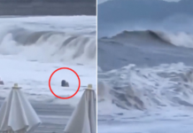 VIDEO: Una joven es arrastrada mar adentro en una playa rusa
