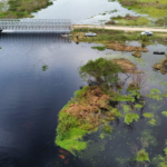 Avanzan tareas de limpieza del cauce del arroyo “Las Hermanas”