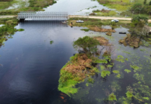 Avanzan tareas de limpieza del cauce del arroyo “Las Hermanas”