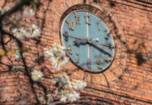 Horario de verano todo el año: Gremios docentes rechazan proyecto