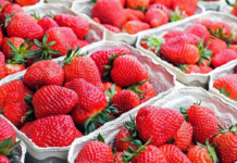 Precio de la frutilla a G. 80 mil por baja cosecha, aseguran productores