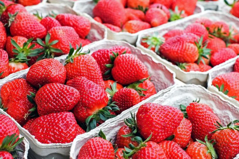Precio de la frutilla a G. 80 mil por baja cosecha, aseguran productores Precio de la frutilla a G. 80 mil por baja cosecha, aseguran productores