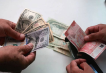 Conocé cuáles son los efectos de un dólar alto en el mercado