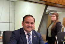 Diputado Sebastián Remesowski destaca la Gran Gestión de la Ministra de Salud en Sesión de la Cámara de Diputados