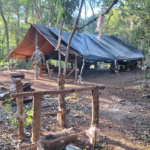 SENAD desbarata centros logísticos para producir droga en Amambay