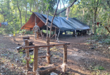 SENAD desbarata centros logísticos para producir droga en Amambay