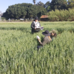 Paraguay logra su adhesión al esquema de certificación de semillas de la OCDE