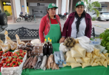 Este jueves se realiza otra rueda de negocios para que productores y mipymes sean proveedores de Hambre Cero