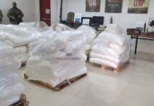 EE. UU. felicita a Paraguay por la histórica incautación de 4 toneladas de cocaína