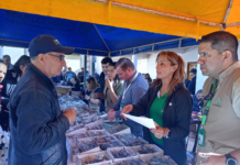 Yacyretá Brinda Atención Médica a Más de 400 Pacientes en Natalio, Itapúa