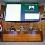 Media sanción al proyecto que establece el derecho a la pensión universal