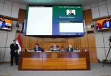 Media sanción al proyecto que establece el derecho a la pensión universal