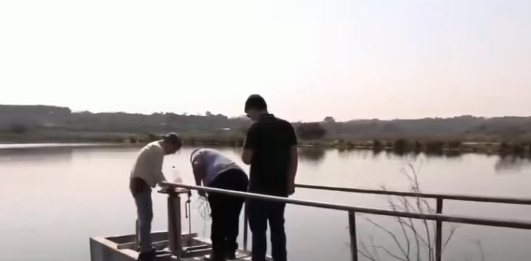 Comitiva fiscal se trasladó a Coronel Oviedo para investigar mortandad de peces