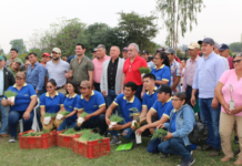 Promueven cultivo de cebollas en Ñeembucú