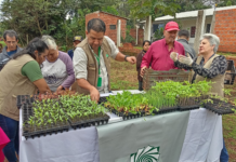 Programa de huertas comunitarias de Yacyretá beneficia a familias de Cambyretá