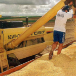 Exportaciones cierran el semestre con buena dinámica pese a la caída de los precios