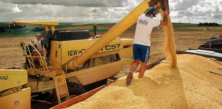 Exportaciones cierran el semestre con buena dinámica pese a la caída de los precios