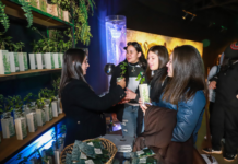 Desde el “Stand de la Energía”, binacionales contribuyen a la reforestación del país