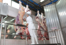 Al cierre de junio, Chile sobresale como principal destino de la carne bovina paraguaya absorbiendo el 40%