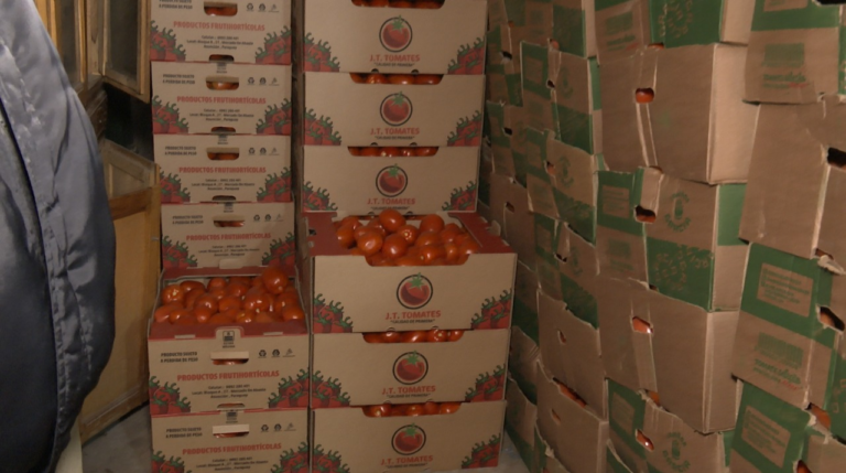 Incautan casi 40 mil kilos de tomate de contrabando en zona del Abasto Incautan casi 40 mil kilos de tomate de contrabando en zona del Abasto